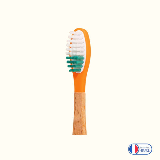 Brosse à dent rechargeable - Tout Zéro Tout Bio